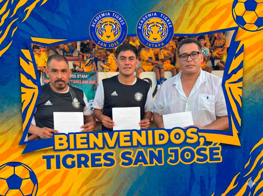 tigres 6