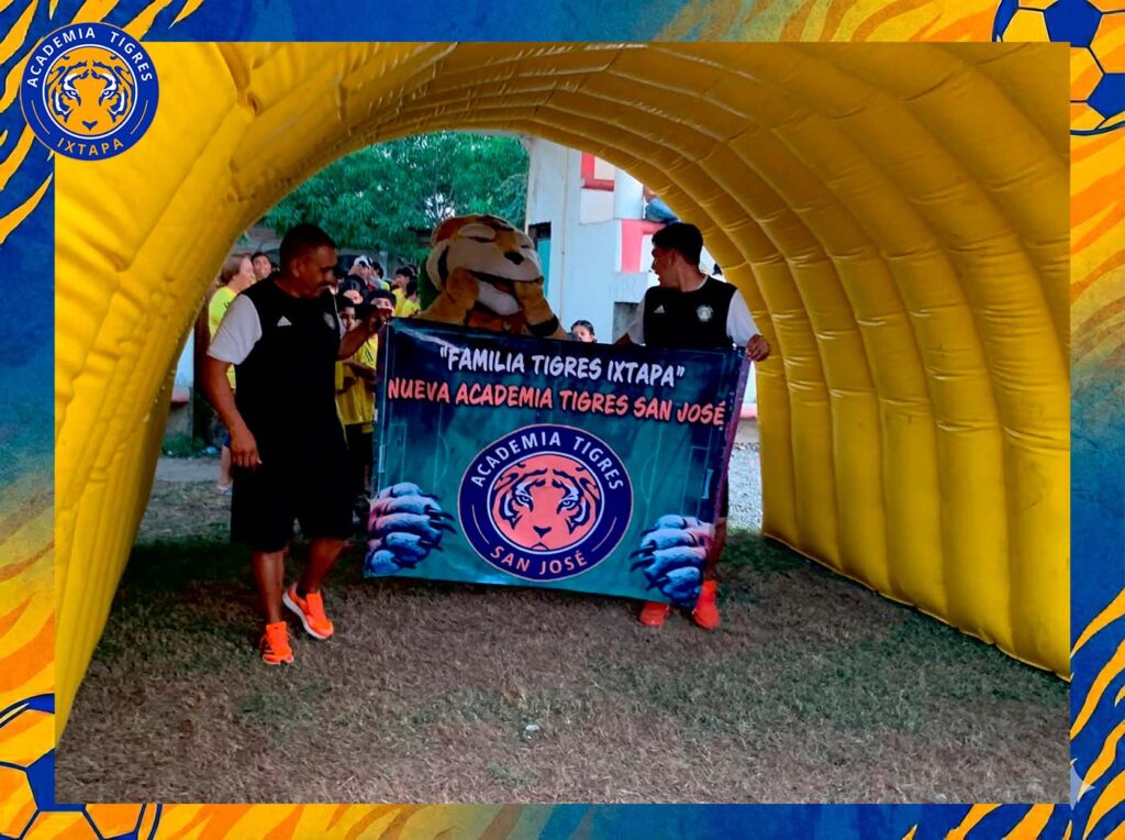 Tigres 5