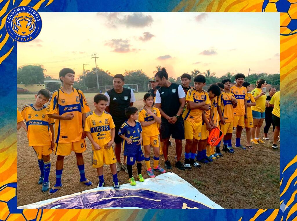 Tigres 3